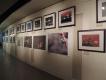 作品展示