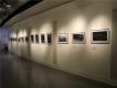 作品展示