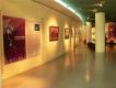 作品展示